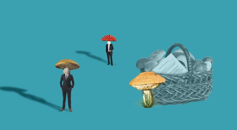 Какую информацию нужно собрать о контрагенте, чтобы не было претензий от ФНС